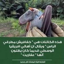 معلومة في صورة