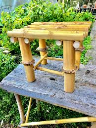 Image result for Oldeania alpina