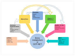 Maybe you would like to learn more about one of these? Nutrients Free Full Text Bone Metabolism And Vitamin D Implication In Gastroenteropancreatic Neuroendocrine Tumors Html