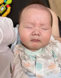 Some good news to the people who have monkey menace !!!  -----------------------------------------------------------------------------  The laser pointer was used to chase away the monkeys towards the early  morning and after 4.30 PM in the