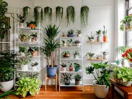 R/houseplants is surprisingly all about houseplants. Keep Indoor Plants Alive With Tips From Botanic Designer Jarema Osofsky Architectural Digest