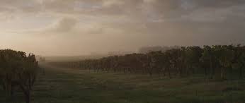 Directors Samuel Rixon Raphael Hache Production Rivedroite Production Producer Estelle Castel Lefeuvre Director Of Ph Film Art Castel Photography