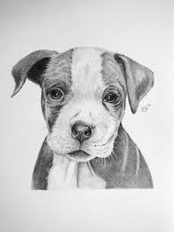 Try putting some spin on the ball for extra fun. Pitbull Puppy Original Pencil Drawing Pitbull Drawing Pitbull Art Dog Sketch