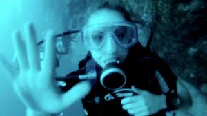 Shark experience with Blue Adventures: 18-hour gap required