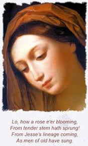 Christmastide Activities