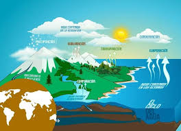 Kitaran air atau kitaran hidrologi adalah peredaran air atau peredaran air dari air yang menguap menjadi awan dan apabila mencapai titik tepu di awan, ia akan jatuh dalam bentuk hujan air, salji atau ais, dan sebagainya. Apakah Kitaran Air Dan Apakah Peringkat Utamanya Pembaharuan Hijau