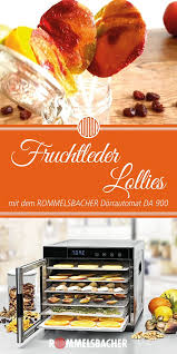 Fruchtleder Lollies Selbstgemacht Im Dorrer Von Rommelsbacher In 2020 Fruchtleder Rezepte Mit Obst Fruchte