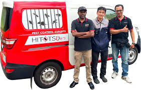 Experienced Team
