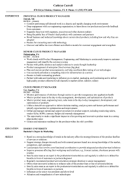 Add the experience and education sections then. Engagement Manager Resume