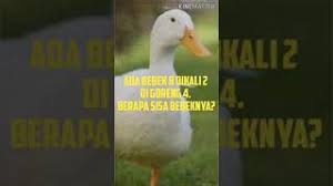 Bila terdapat kesalahan jawaban ataupun jawaban belum lengkap harap. Teka Teki Ada 8 Bebek Dikali 2 Di Goreng 4 Berapa Sisanya Tts Asahotak Youtube