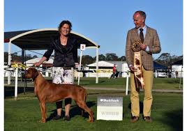 Maybe you would like to learn more about one of these? Breeders Sajanak