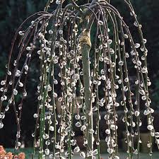 We did not find results for: Salix Caprea Pendula Kilmarnock Willow J Parker Dutch Bulbs