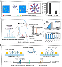Materials-Functionalized Point-of-Care Testing Devices for Pathogen  Detection