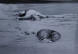 The aircraft, an airbus a300, was destroyed and all 290. Graphic Photos Victims Of Iran Air Flight 655 Downed By Us