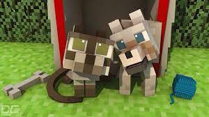 Cat Or Dog Minecraft Wallpaper Minecraft Wallpaper Minecraft Songs Minecraft Cat