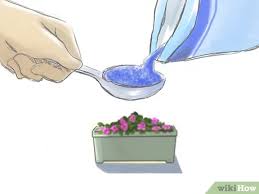 Maybe you would like to learn more about one of these? 3 Ways To Fertilize Impatiens Wikihow