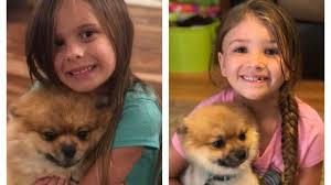 Fundraiser by Tabitha James : Please help with Remys recovery