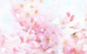 Spring blossom over blurred nature background with sunshine, banner. Pink Flower Wallpaper Backgrounds Wallpaper Cave