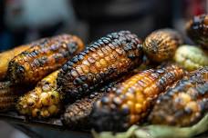 46th Annual Roasting Ears of Corn Festival 2026