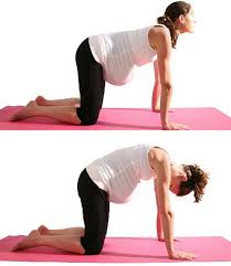 This pose sequence, often called cat and cow, helps to strengthen and maintain flexibility in the lower back and abdomen. Pregnancy Yoga Poses To Help With Back Ache And Prepare For Labour
