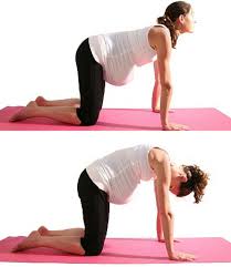 This basic set of movements stretches the spine and allows your belly to hang, which can ease tension. Pregnancy Yoga Poses To Help With Back Ache And Prepare For Labour