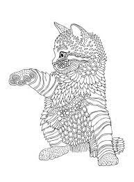 Groot aanbod kleurplaten voor jong en oud. Kids N Fun Kleurplaat Dieren Voor Volwassenen Dieren Voor Volwassenen Cat Coloring Book Kittens Coloring Animal Coloring Pages