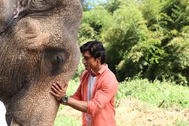 Junglee full movie 2019 vidyut jamwal. Junglee Movie Review Open The Magazine