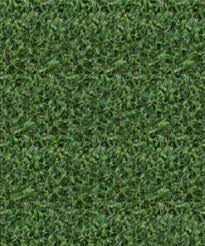 3.8 out of 5 stars 55. Tifway 419 Bermuda King Ranch Turfgrass