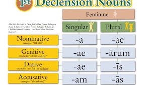 Helpful Latin Charts Teaching Latin Conjugation Chart