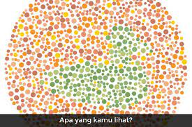 Dalam hal ini penglihatan kita tidak dapat bisa bekerja secara normal, seperti mata kebanyakan orang. Bisakah Kamu Menyelesaikan Tes Buta Warna Ini