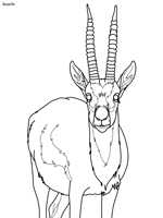 Gazelle coloring pages gazelle bpng printable coloring4free. Serengeti Animals Coloring Pages
