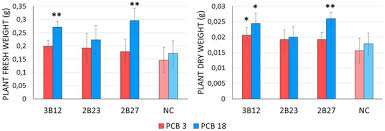 Who can pay sss contribution? Novel Pcb Degrading Rhodococcus Strains Able To Promote Plant Growth For Assisted Rhizoremediation Of Historically Polluted Soils