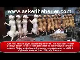 Cin Kopek Yeme Festivali Yulin 2015 Youtube