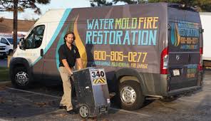 Maybe you would like to learn more about one of these? Living Near Chicago With Mold Fire Or Water Damage Mom And More