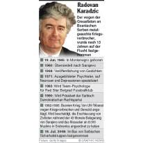 Radovan karadžić uložio žalbu na presudu. Radovan Karadzic Infographic