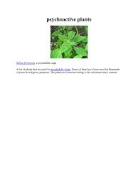 Image result for Pauridiantha dewevrei