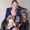All about pets hilton head. All About Pets Hhi Linkedin