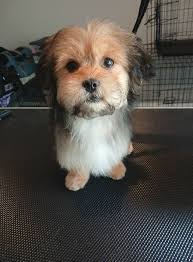 Billy Mounce's Instagram, Twitter & Facebook