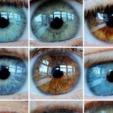 Er tritt auf, wenn in den augen ein höherer druck (augeninnendruck). Gruner Star Fast Eine Million Menschen In Deutschland Gesundheit