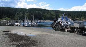 Green leader annamie paul survives planned ouster, but post remains precarious. Annamie Paul In Conversation With North Islanders Cortes Currents