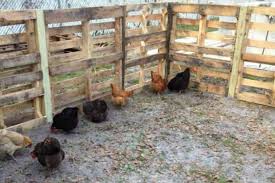 Judy said that she saved about $1,000 in lumbers by using pallets. Pallet Chicken Run Diy Pallet Fence Extension For The Flock With Pics