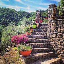 Buongiorno Petrara Malito Cosenza Calabria Italia Italy 160 Fiori Flowers Steps Stair Country Cottage Decor Calabria Italy Countryside Village