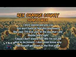 Sunflower Lyrics Rex Orange County Youtube