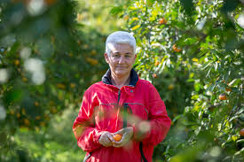 Maybe you would like to learn more about one of these? Ayla Oner Oren Mugla Komur Hikayeleri