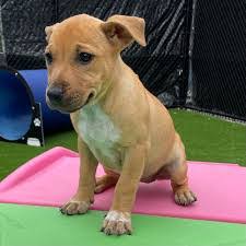 Linda Zufall's Instagram, Twitter & Facebook