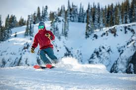 Many of the most popular ski brands manufacture the best ski companies include those from major manufacturers of skis including k2 sports, head, kneissl and more. Best All Mountain Skis Of 2021 Switchback Travel
