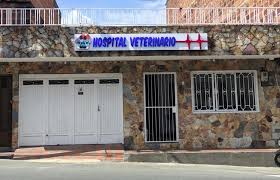 huellas sanas veterinario en casa