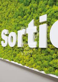 Logo Vegetal Cadre Vert Vegetal Plante Stabilisee Vert