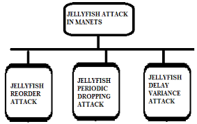 Jellyfish Classification Download Scientific Diagram
