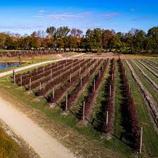 Finally getting some hints of fall color in the trees! . . Like what you  see? Send me a message or checkout my bio! . . . #photographer #drone  #yourshotphotographer #streetphotographers #droneofficial #